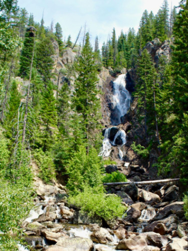 View of the Fish Creek Falls surrounded by trees