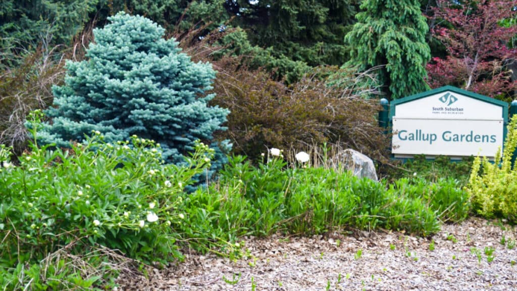View of the Gallup Gardens signage with the greenery and flowers around