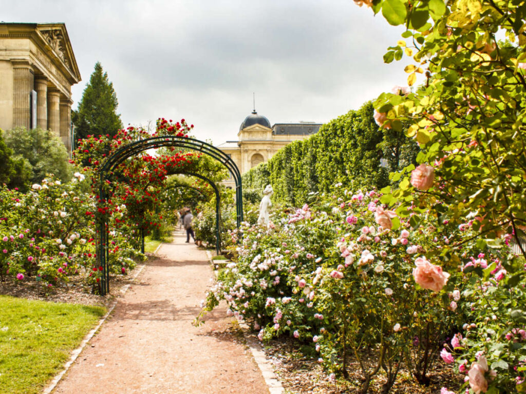 View of the archways surrounded by rose bushes at the Jardin des Plantes