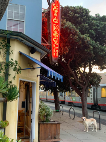 Bright neon sign of Java Beach Cafe with a dog below it