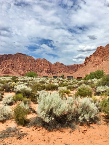 View of the rock formations and greenery at the Kayenta Art Village