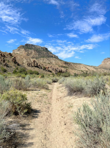 View of The Little Book Cliffs Wild Horse Area