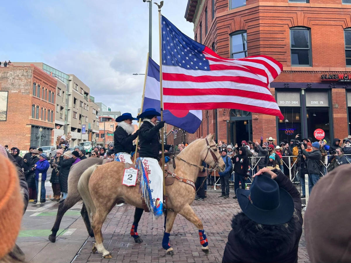 View of the The National Western Stock Show parade in Downtown Denver