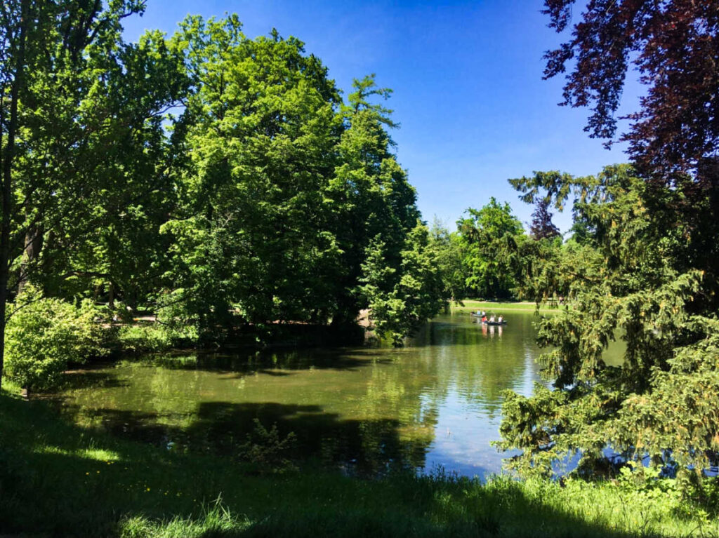 View of the trees reflecting on the lake at The Orangerie Park
