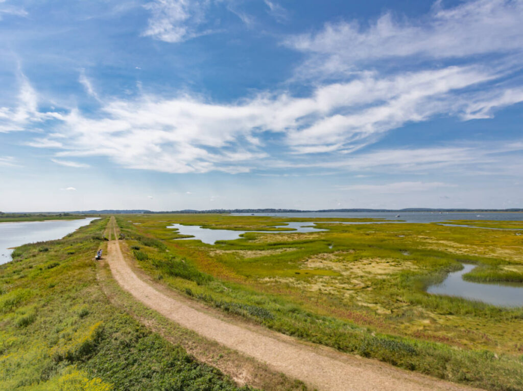 A dirt road surrounded by grassland and wetlands at Parker River National Wildlife Refuge