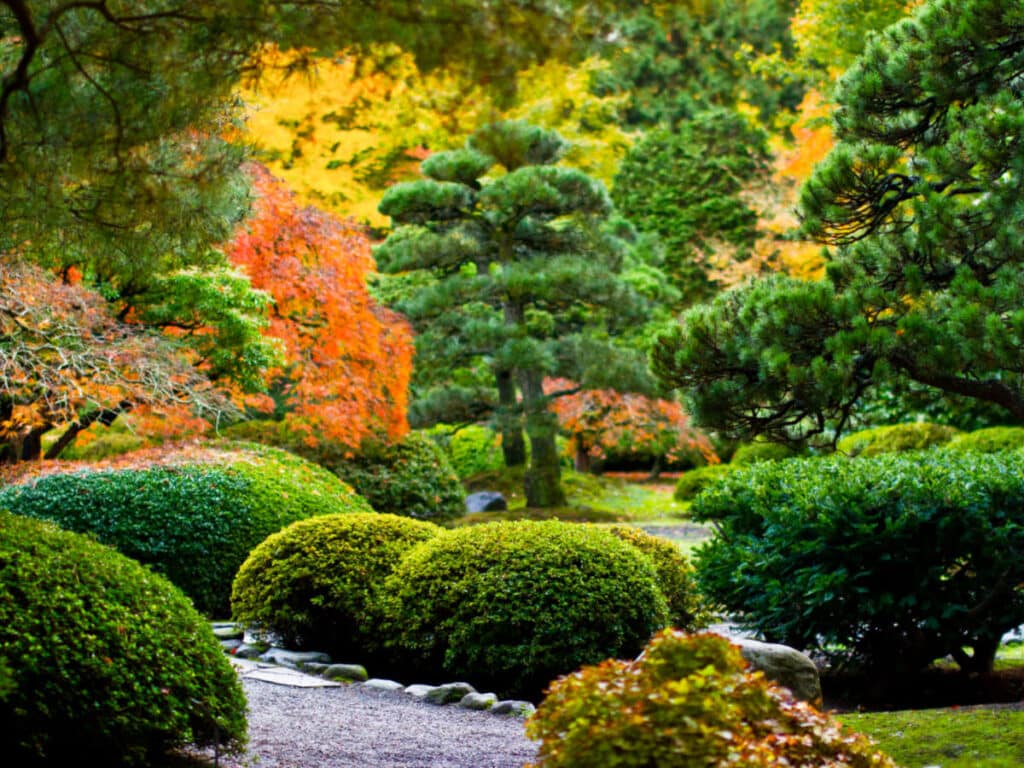 View of the fall foliage around the Portland Japanese Garden