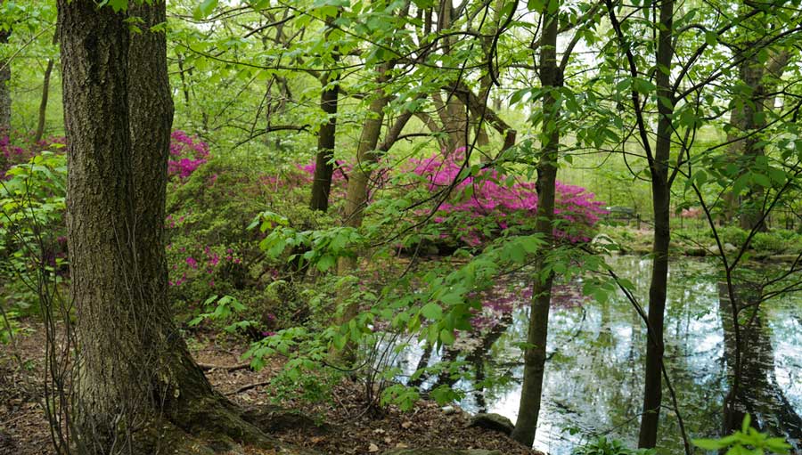 View from The Ramble during a hike