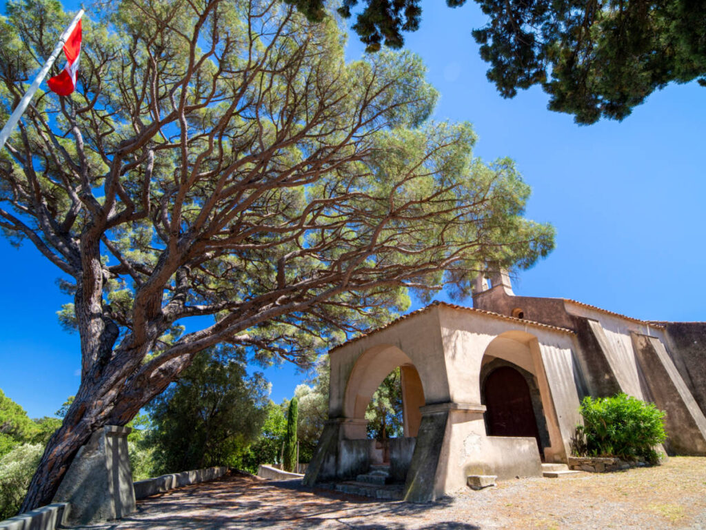 A tree stands tall in the foreground, with the Sainte-Anne chapel as the backdrop in Saint-Tropez