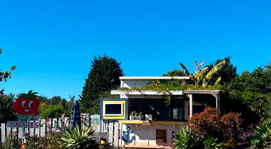 View of a small store and the clear blue sky above it