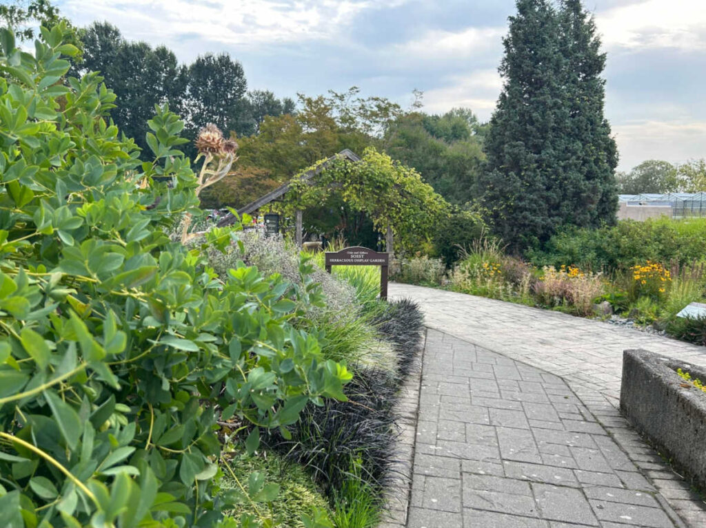 View of the greenery around The Soest Garden in the Center of Urban Horticulture