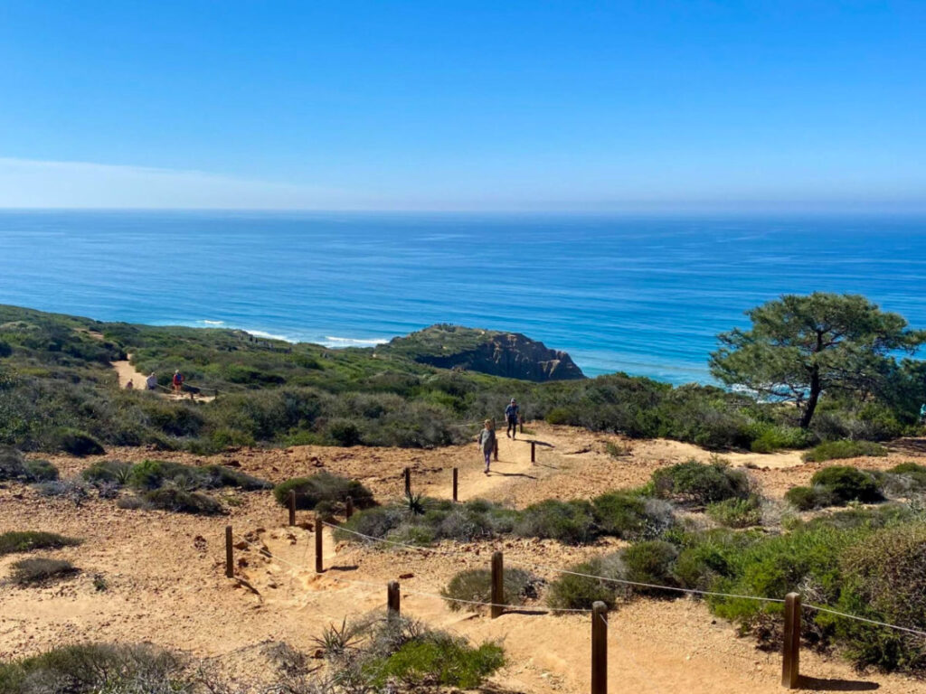 People walking on a hiking trail at Torrey Pines State Beach