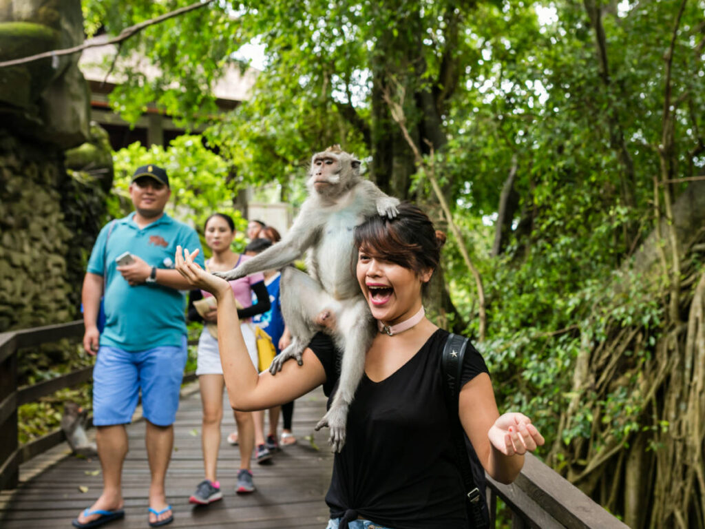Long-tailed macaque sitting on the shoulder of a female tourist in The Ubud Monkey Forest Temple in Bali