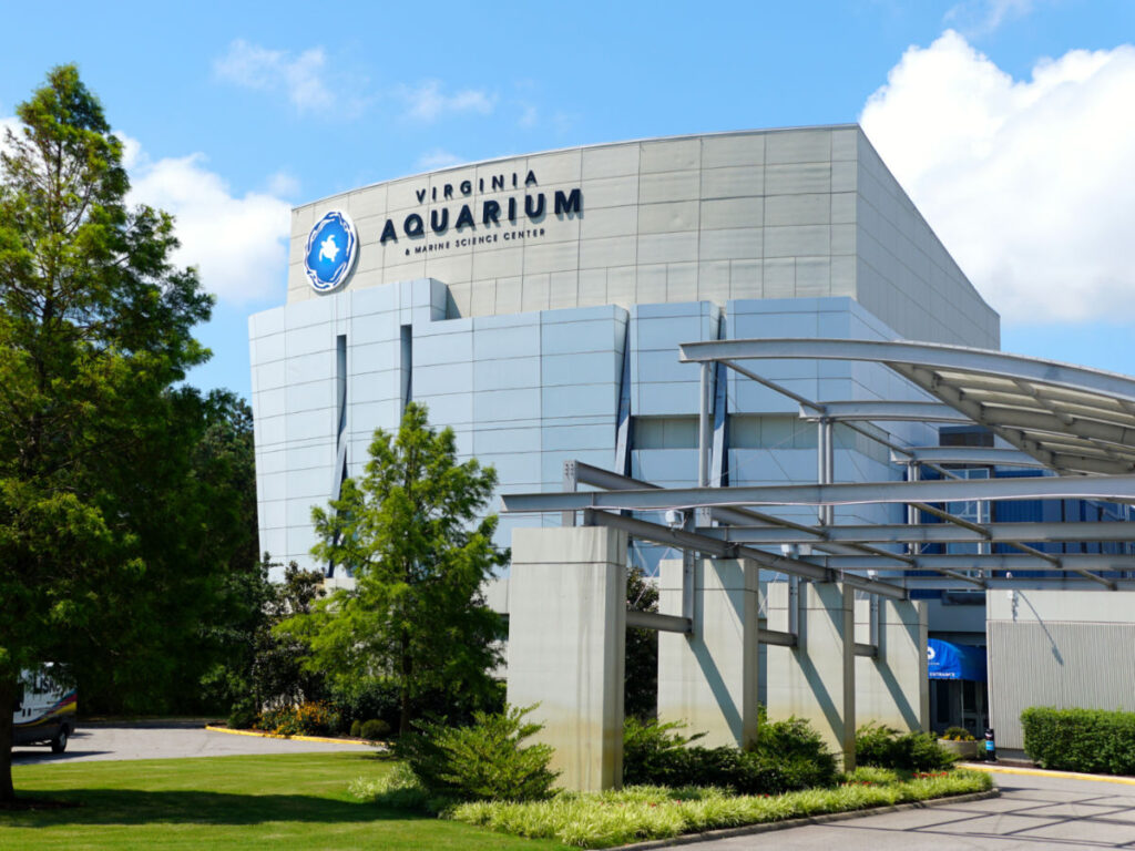 View outside the Virginia Aquarium and Marine Science Center