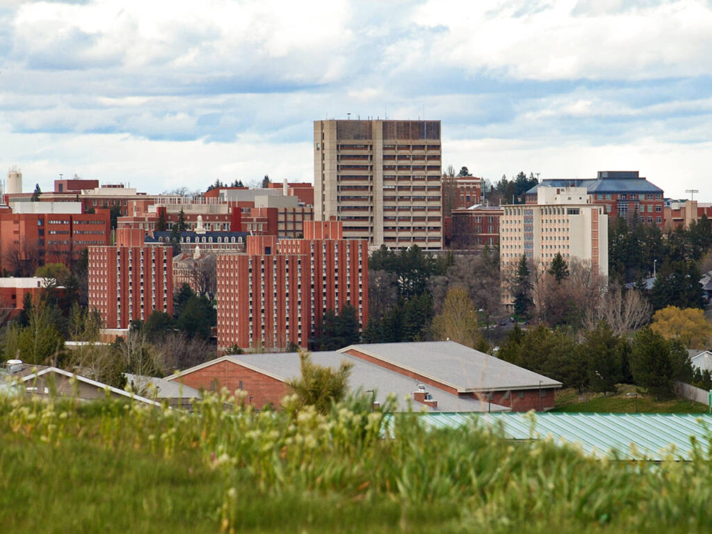 Panoramic view of the Washington State University campus