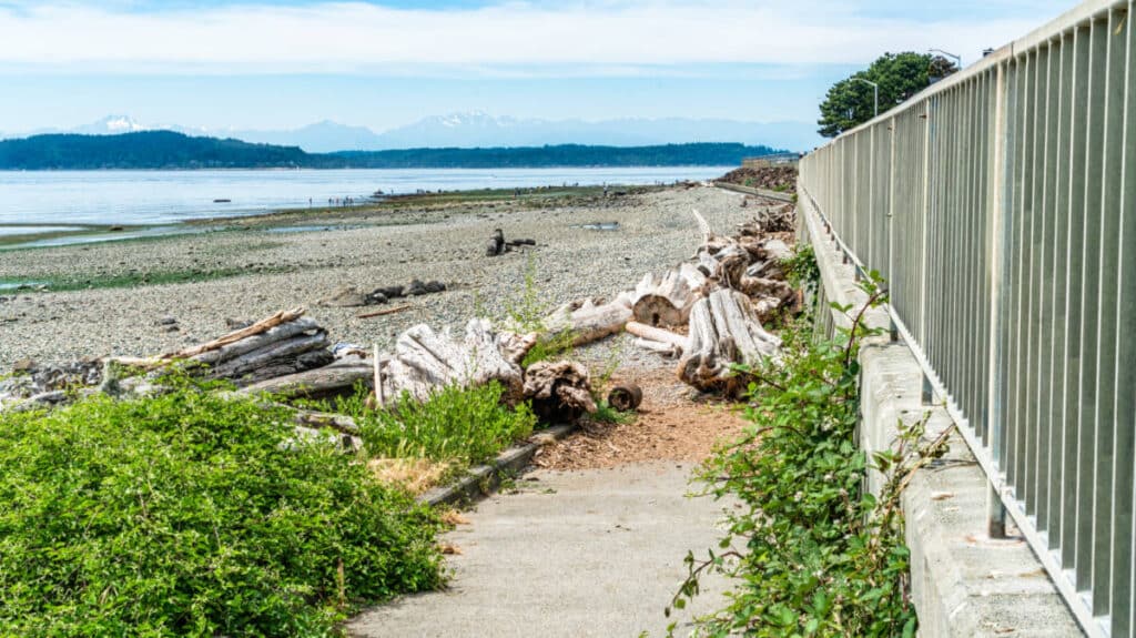 View of the West Seattle shoreline during low tide