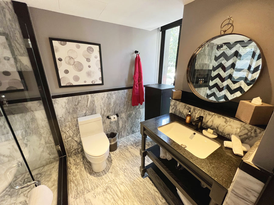 View of the bathroom in The Wild Oscar