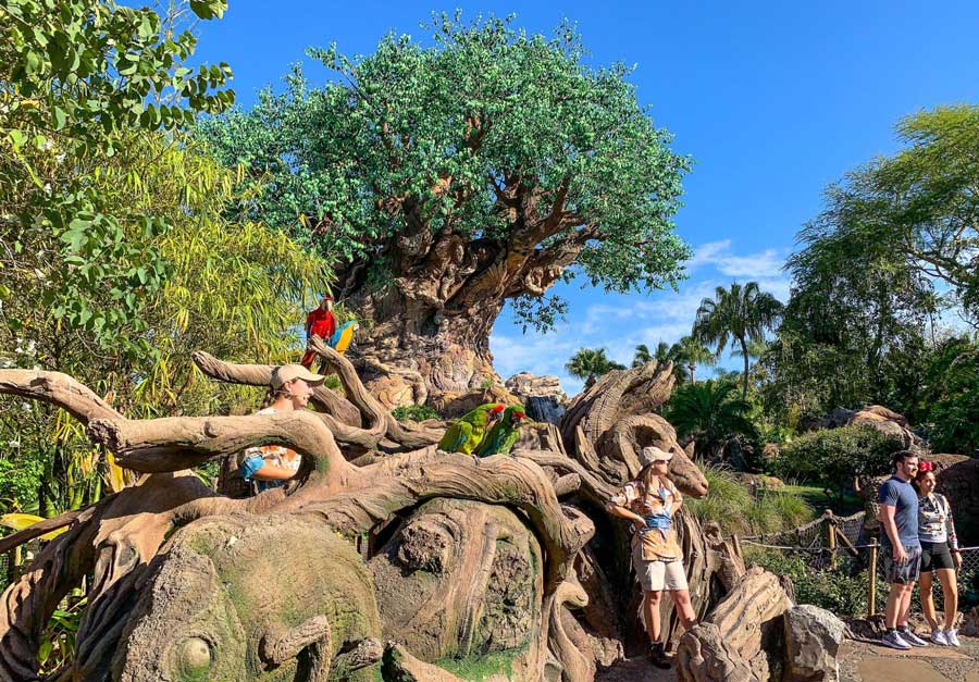 People taking a photo in Winged Encounters