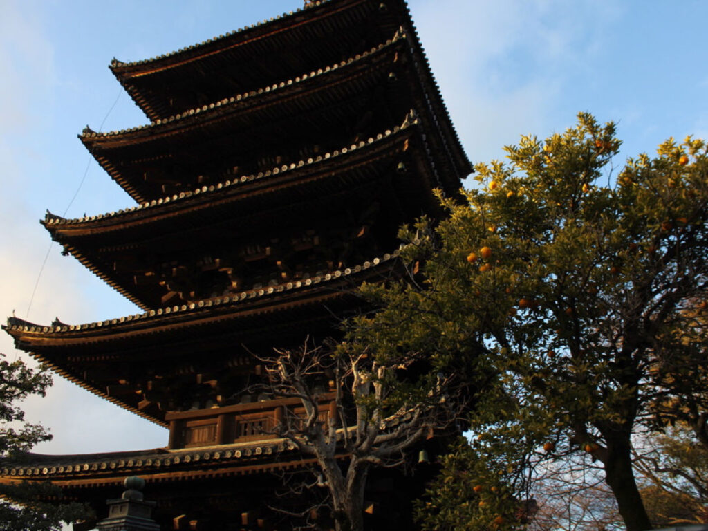 View of The Yasaka Pagoda seen from below with a tree bearing fruit beside it