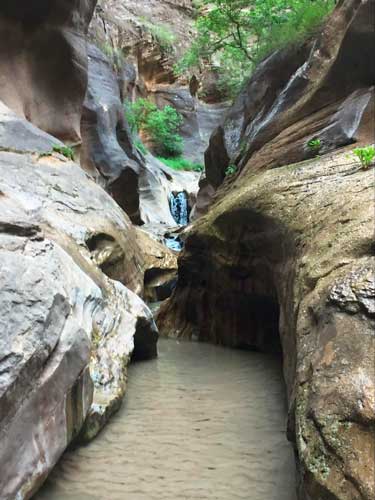 View of water at The Zion Narrows