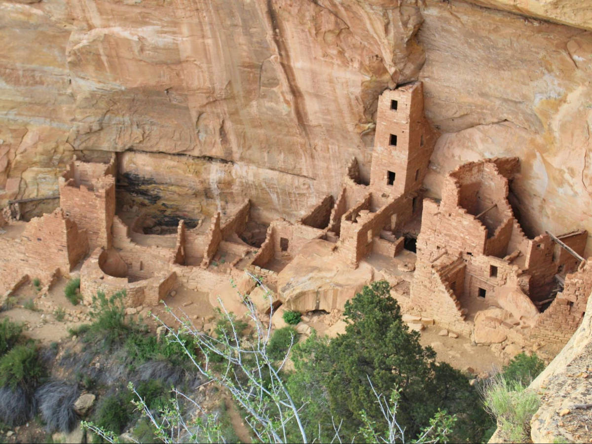 The cliff palace ruins in Mesa Verde National Park