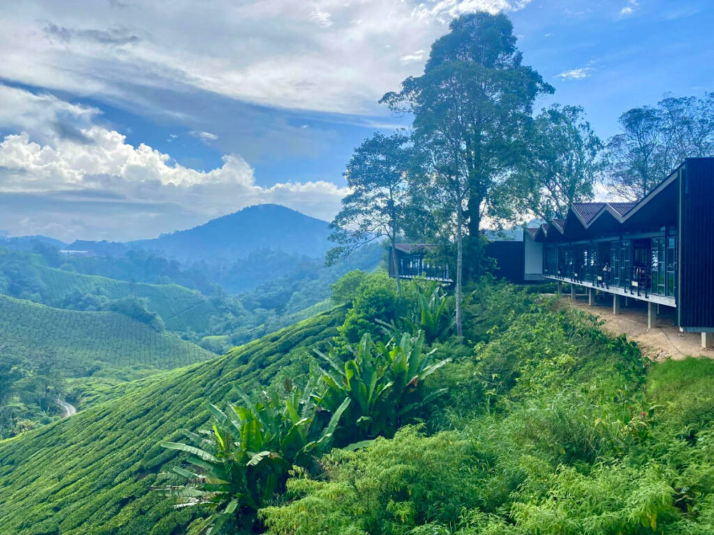 The tasting room at the Cameron Highlands with a view of the tea plantation