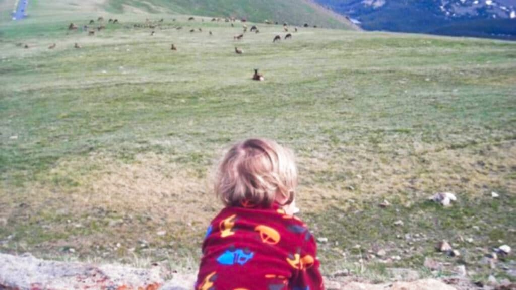 The author's kid overlooking the animals on the Colorado Rocky Mountains