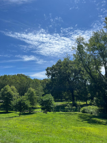 View of the greenery around the Tibbetts Brook Park