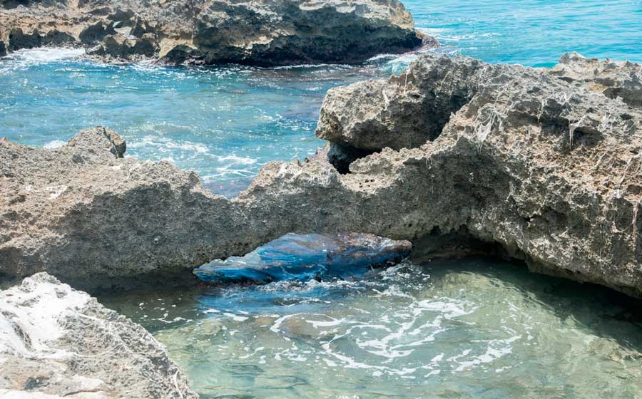 View of the tide pools on St. Croix