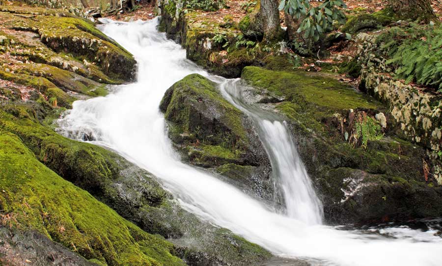 Water from Tillman Falls flowing on rocks