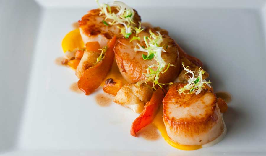 A scallops dish on a white plate