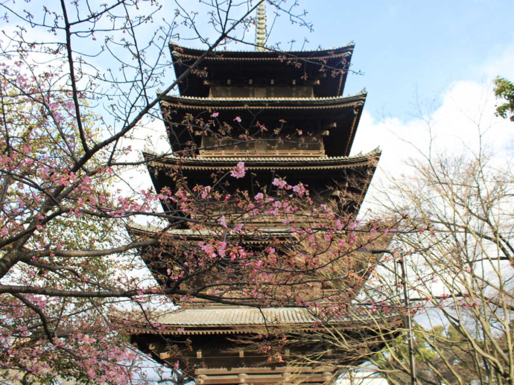 The blooming flowers in front of the Toji Temple