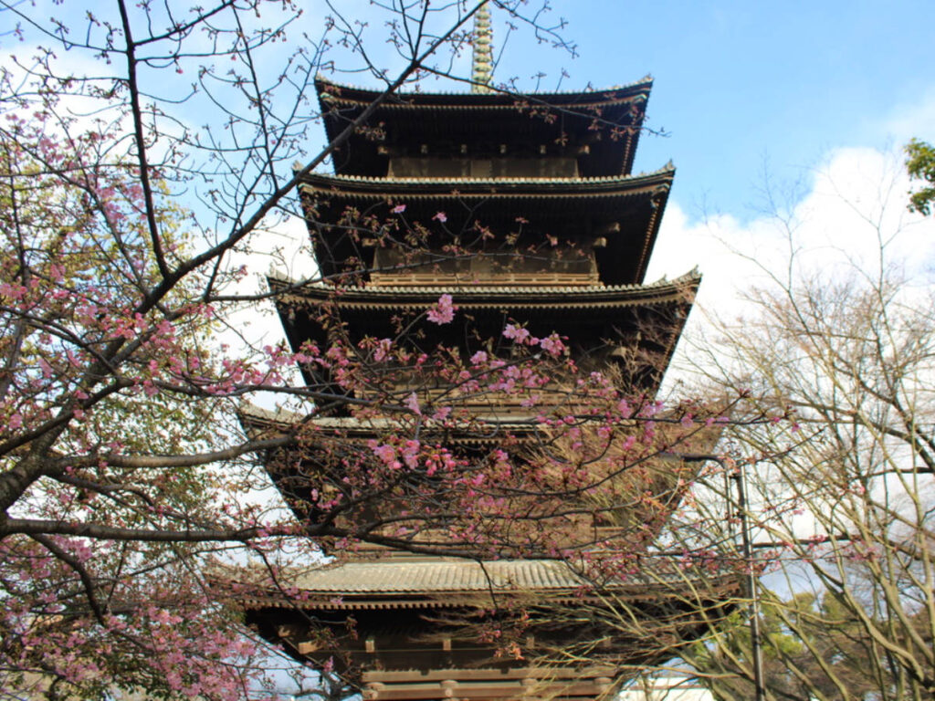 Scenic view of Toji Temple surrounded by sakura flowers in Minami District