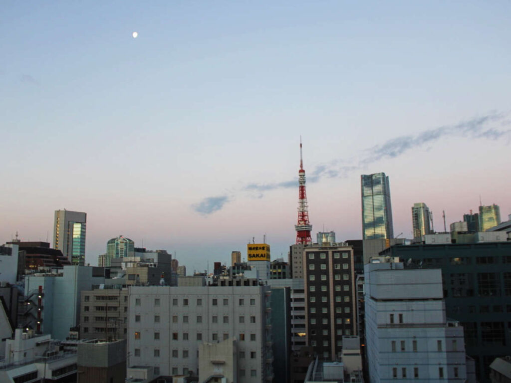View from the hotel rooftop during an early morning in Tokyo, Japan