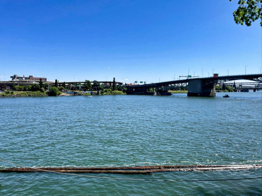 Clear blue sky over Tom McCall Waterfront Park during a sunny morning
