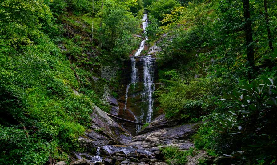 View of the lush greenery around the Tom’s Creek Fall