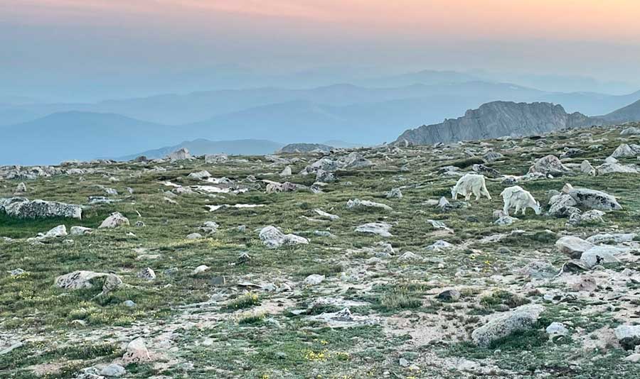 View from the top of Mount Evans during sunset