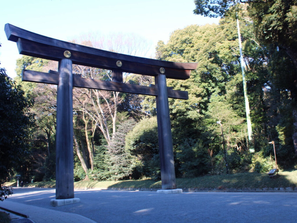 Torii Gates at Yoyogi Park in the morning