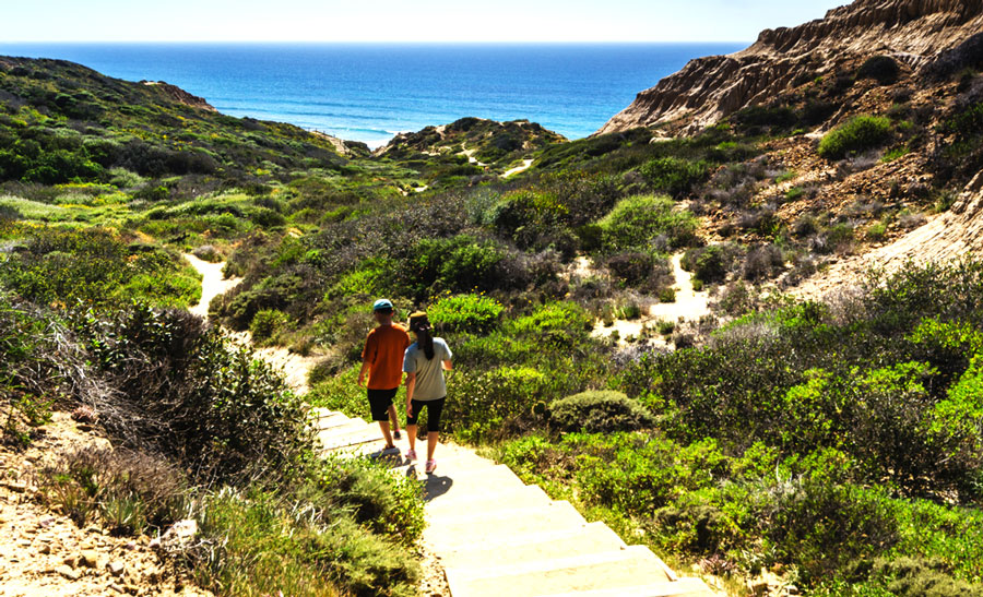 View of two people descending a staircase in Torrey Pines State Nature Reserve