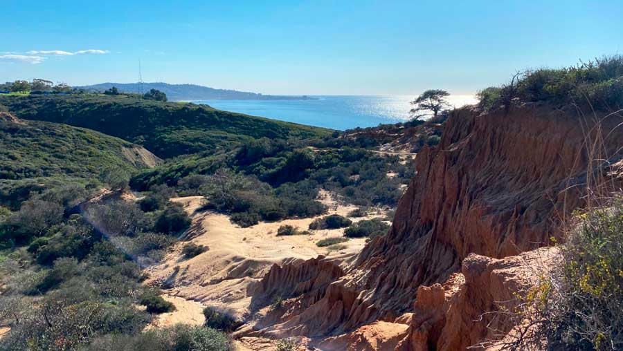 View from the Torrey Pines State Reserve in San Diego