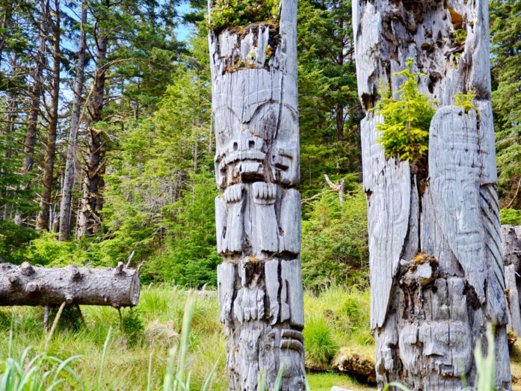 Two large trees with carved faces on them, representing the rich cultural heritage of Haida Gwaii