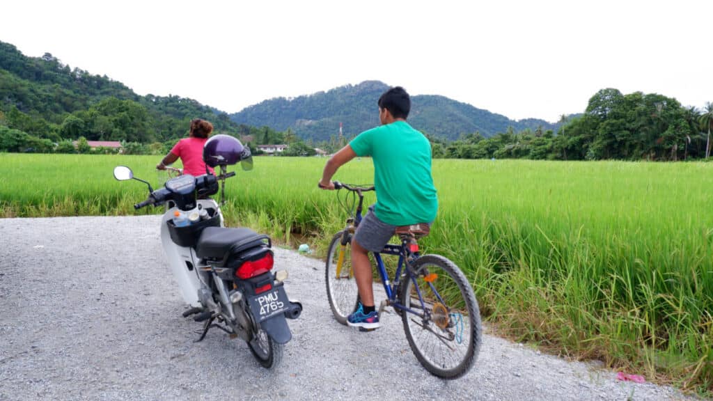 View of a motorcycle and the tourists cycling near the wide greenspace