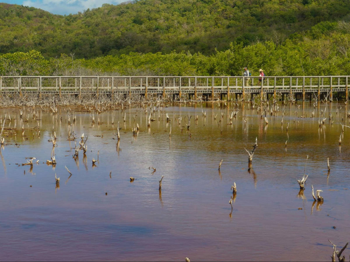 View of tourists during a hike in Cabezas de San Juan Nature Reserve