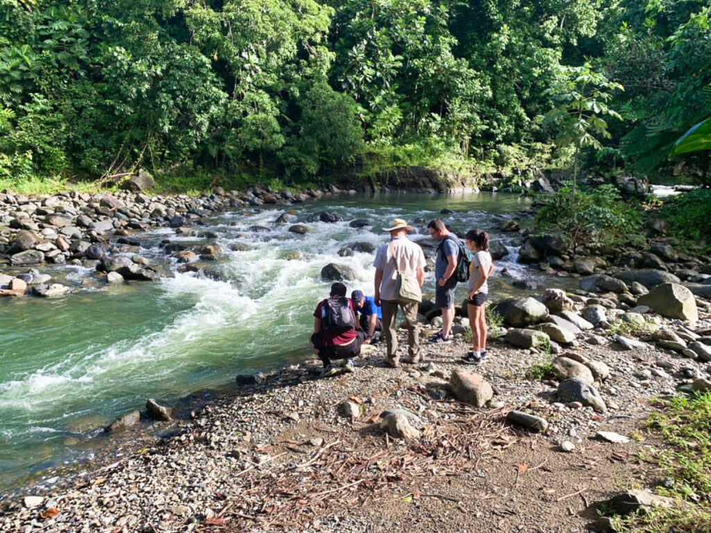 The tourists at the river surrounded by greenery