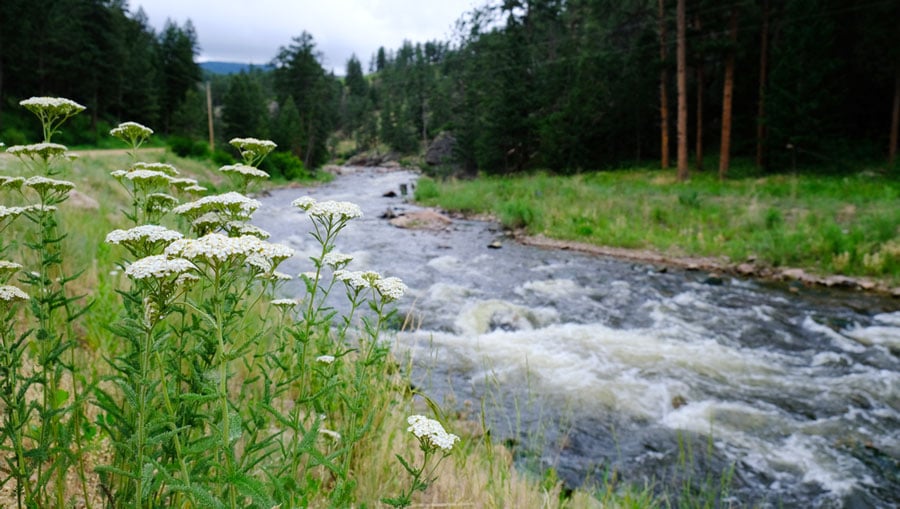 View of the Button Rock Preserve River in Lyons