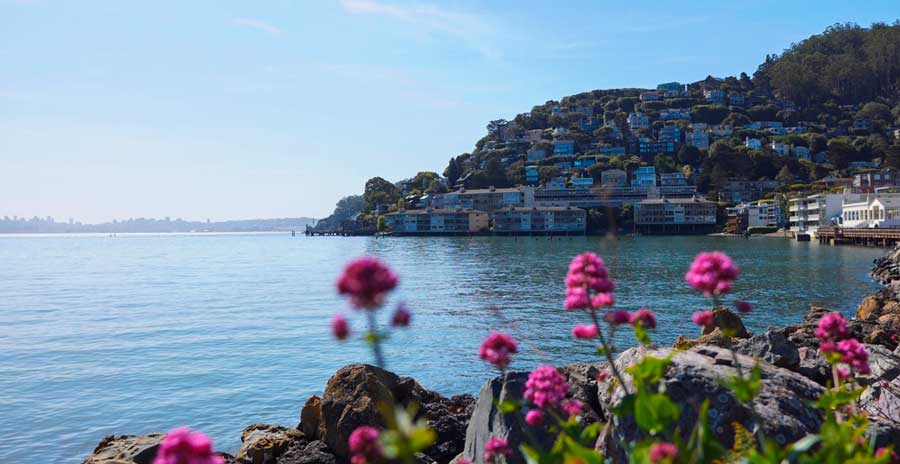 Close up view of colorful flowers and the Sausalito town from afar