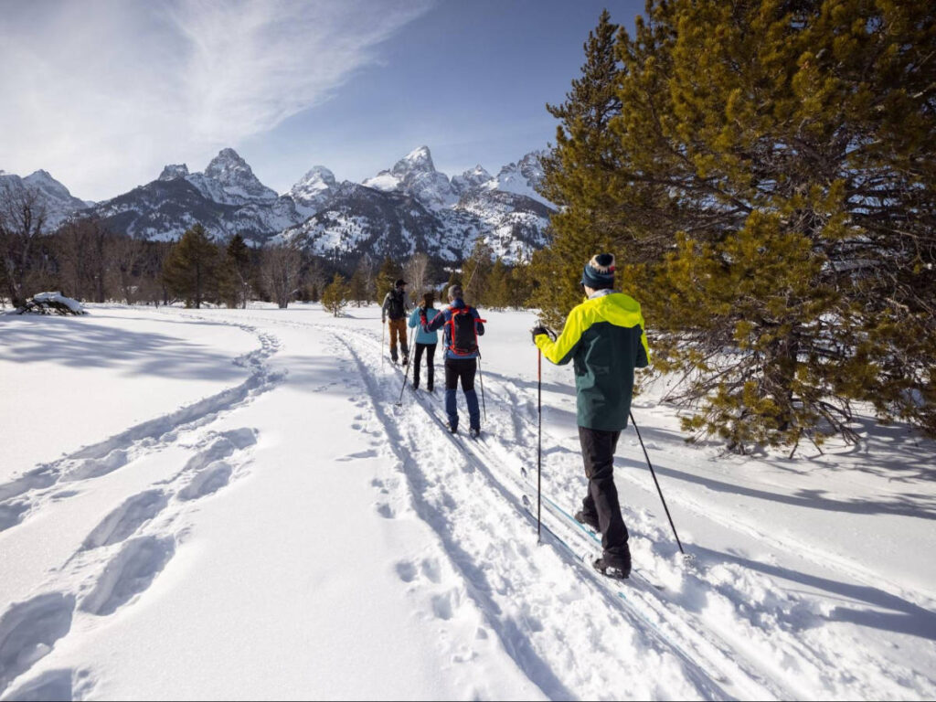 Nordic skiers on a track at Grand Teton National Park