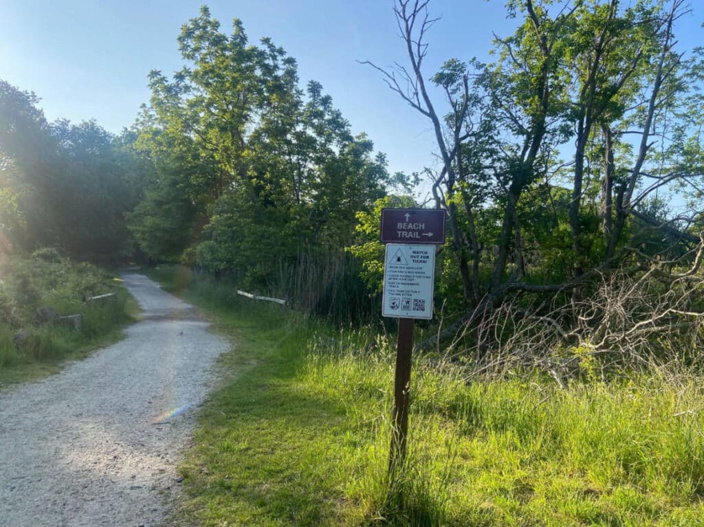 A signage going to the beach trail