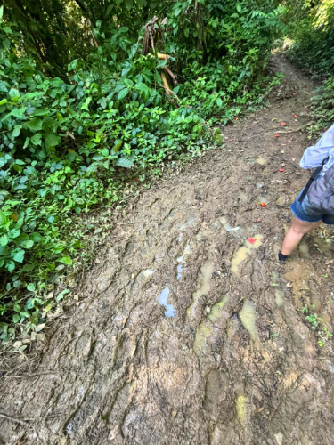 Muddy Trails going to Los Pilones Waterfall