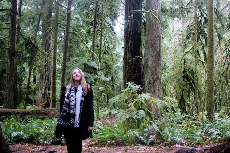 Tall trees and moss in Cathedral Grove, Vancouver island