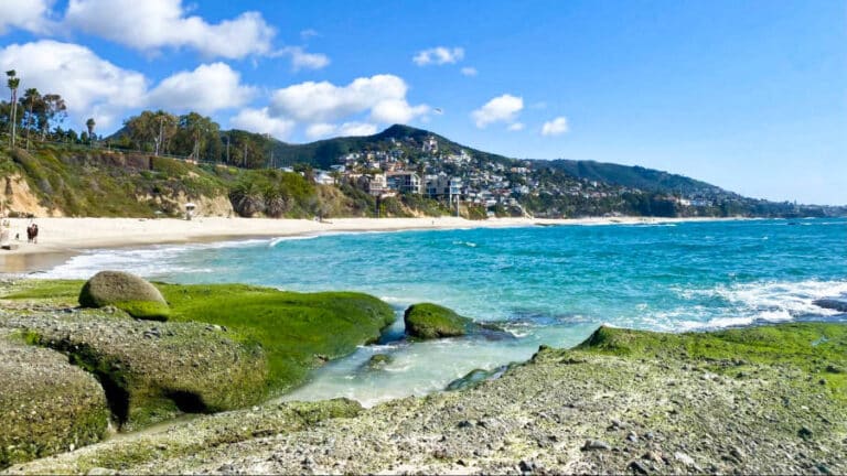 View of the turquoise blue water and green moss on the rocks at Treasure Island Beach on a sunny day
